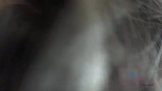 Sexy meisjes in porno - Gia Paige gives footjob and rides big cock in Tokyo op HOT-GIRLS-PORN.COM